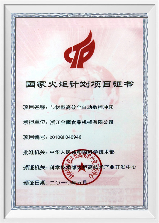 Сертификат проекта программы «Национальный огонь»